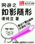 网游之幻影刺客 小说