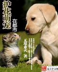 护花医圣在都市全文免费阅读