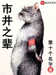 市井之辈小说下载