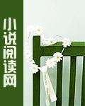 护花强男 小说