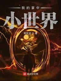 我的掌中小世界 小说