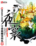 夜寰百度百科