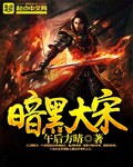 暗黑大宋TXT免费下载