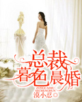 总裁暮色晨婚 小说