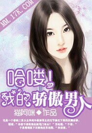 我的傲娇男友小说
