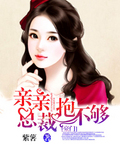 亲亲总裁抱不够 紫薯 小说