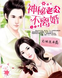 闪婚蜜爱神秘老公不离婚 小说