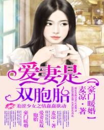 豪门暖婚:爱妻是双胞胎小说