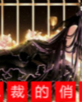 坏总裁的宠溺夜袭免费阅读346集