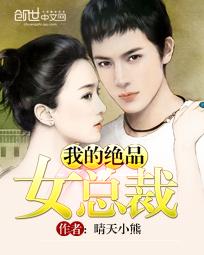 我的绝品女总裁小说