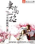 小说:妻高一筹