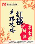 红楼草根攻略txt