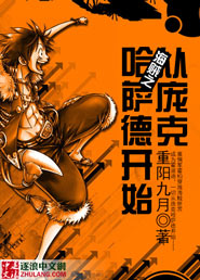海贼之从庞克哈萨德开始TXT下载