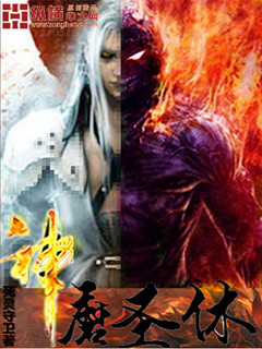 神魔体质的小说