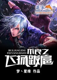 不良之飞扬跋扈 小说