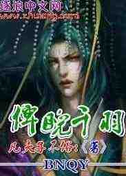 武极天尊小说