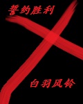 誓约胜利之剑长度