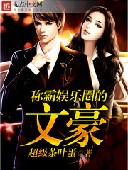 娱乐文豪 小说
