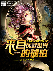 来自瓦歌世界的琥珀 小说