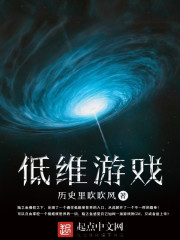 低维游戏小说免费阅读