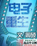 电子重生小说