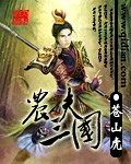 农夫三国小说