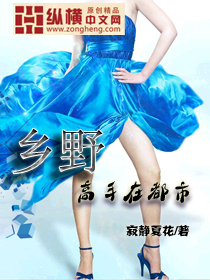 乡村高手全文免费阅读