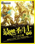 圣斗士网络小说