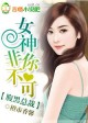 女神非你不可 网盘