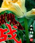 双魂战纪