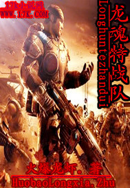 龙魂特战队乐高