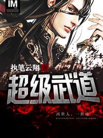 超级武道升级系统