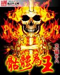 骷髅为王小说