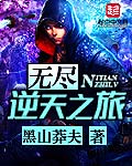 无尽旅者小说