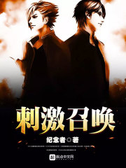 刺激召唤 小说