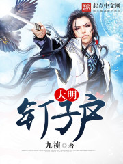 大明钉子户TXT下载