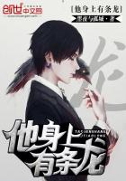 他身上有条龙王乐小说