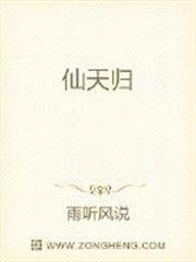 仙天归 小说