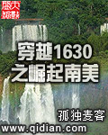 穿越1630之崛起南美百度百科