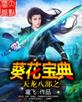 天龙八部葵花宝典大区