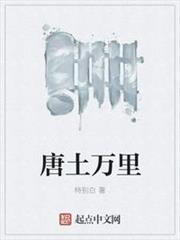 唐土万里小说