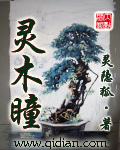 灵木瞳小说免费阅读