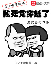 我死党穿越了小说