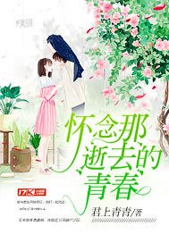 怀念那逝去的青春的句子