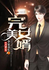 完美女婿 李家书生