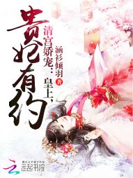 清宫娇宠皇上贵妃有约下载