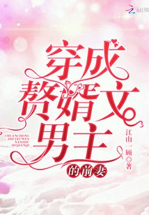 穿成赘婿文男主的前妻 江山一顾