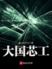 大国芯工 小说