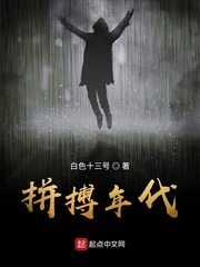 拼搏年代 小说