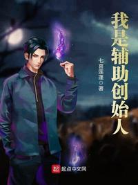 我是辅助创始人小说